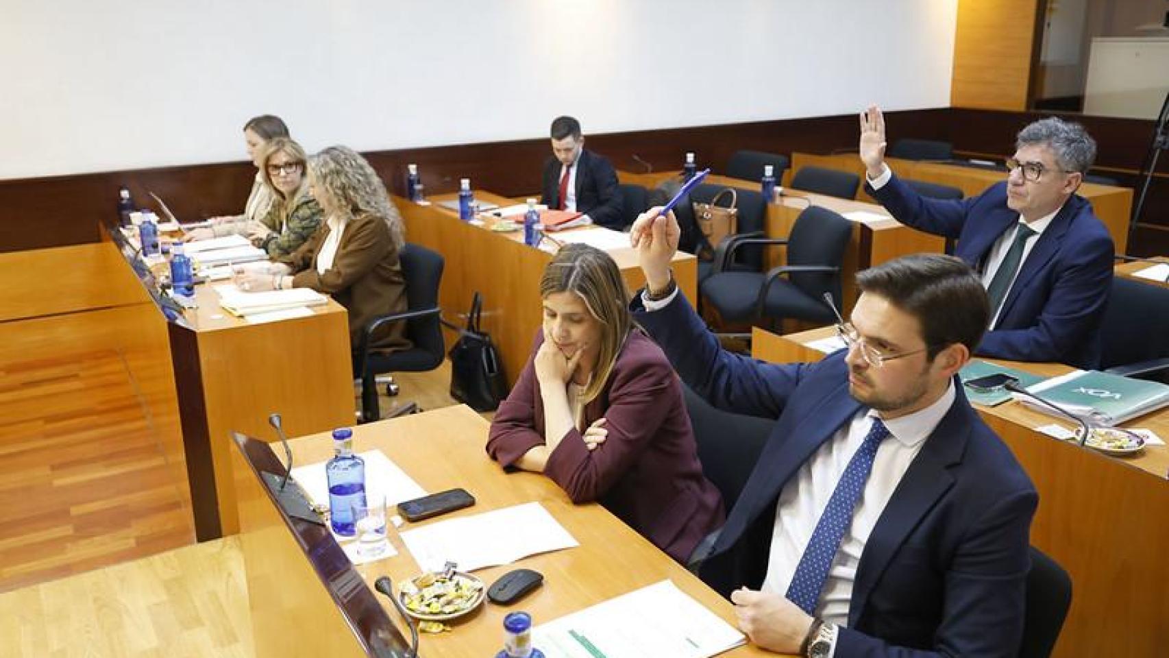 Comisión de Economía y Presupuestos en las Cortes de Castilla-La Mancha.