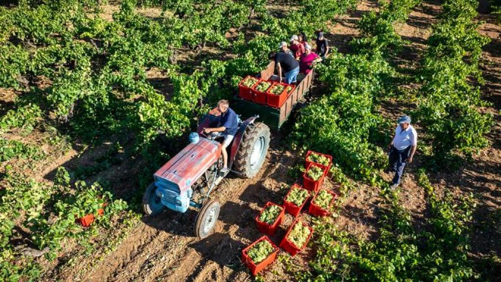 Agricultores en el campo.