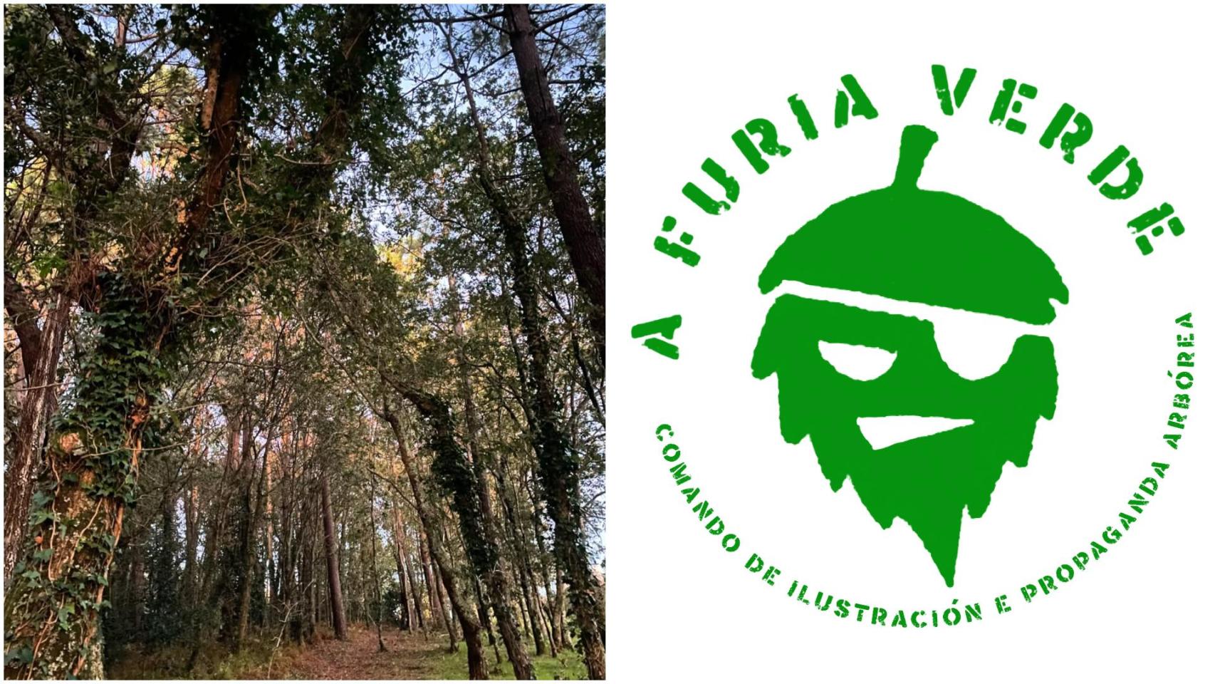 Furia Verde, el llamamiento a llenar la calle de dibujantes para defender los árboles de Vigo