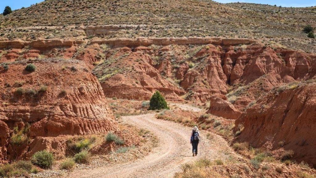 Rambla de Barrachina, Teruel.