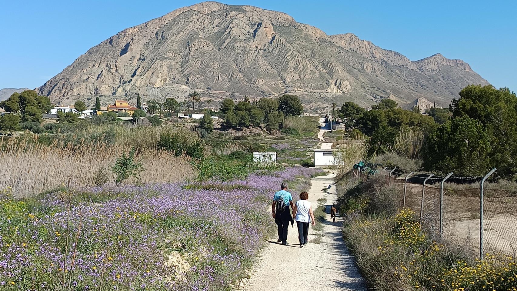 El sendero Ruta Vallonga.