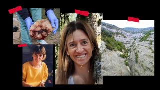 En el centro de la imagen, María Paloma Bardají; abajo a la izquierda, Françoise Dasnois; arriba a la izquierda, la piedra con la que fue golpeada Roy; y a la derecha, un barranco del Pirineo.