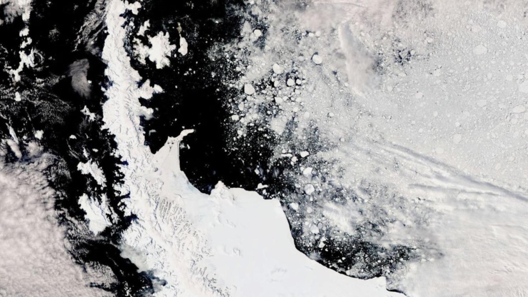 Científicos miran la Antártida desde el espacio y confirman la aparición de llamativas manchas verdes en el hielo