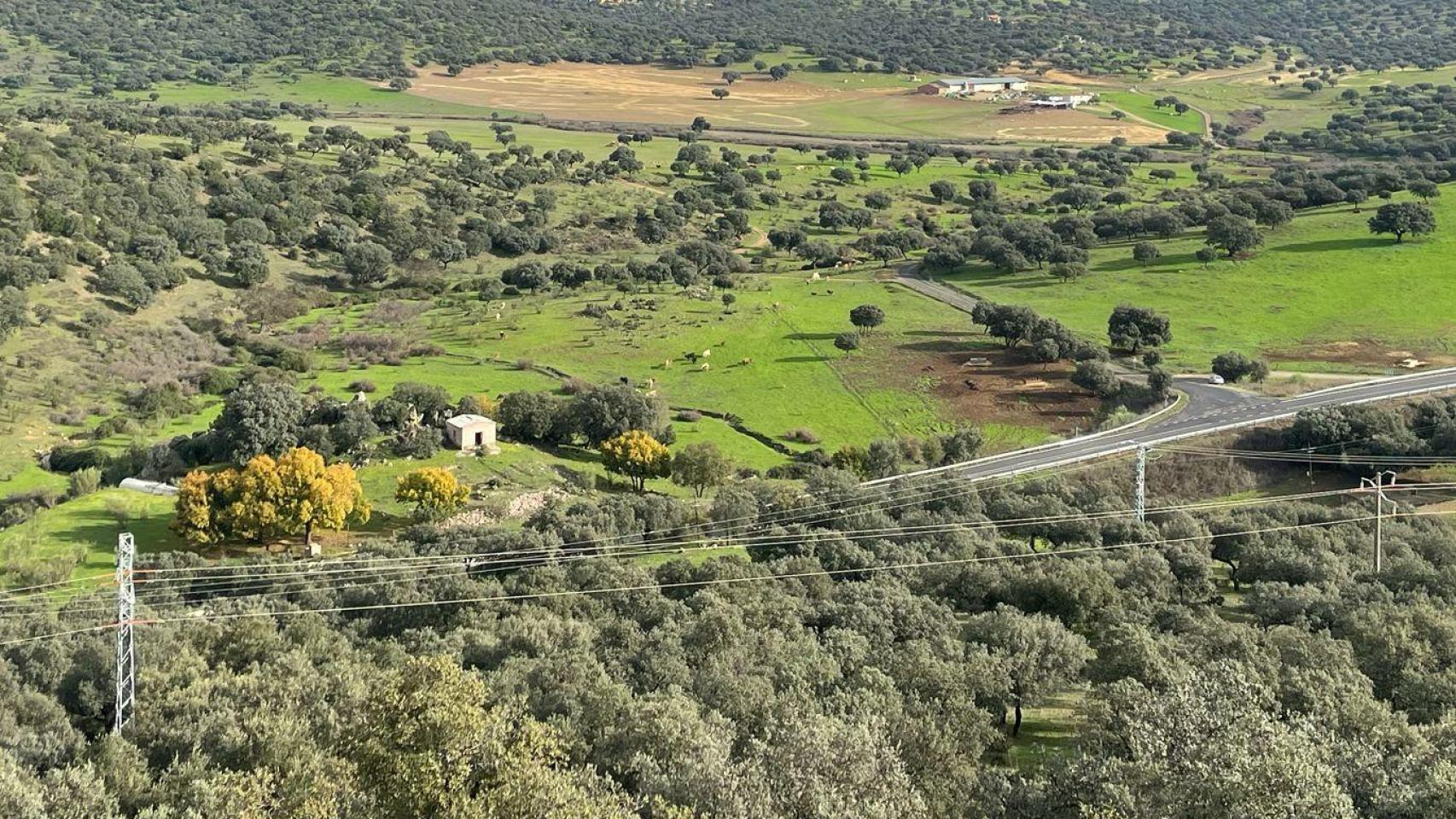Paraje donde ha sido encontrado el cuerpo. El camino queda oculto por los árboles, pero desemboca frente a la pequeña caseta que se ve en la imagen.
