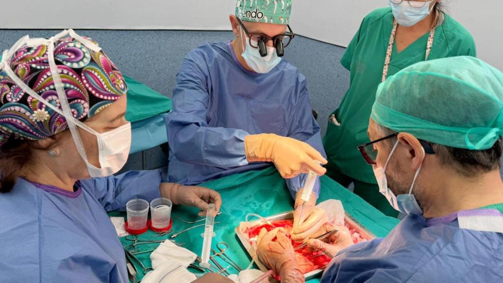 Una intervención de especialistas del Hospital Doctor Peset de Valencia