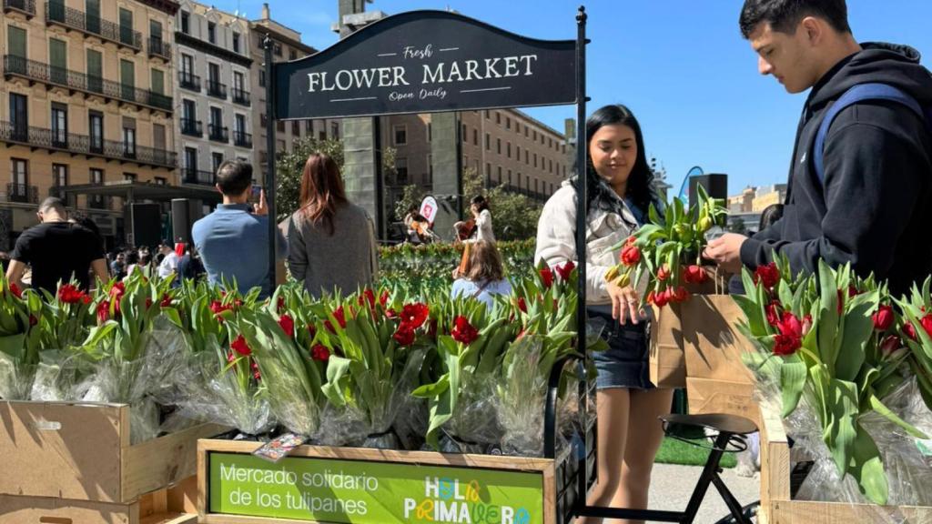 Mercado de Tulipanes en Zaragoza.