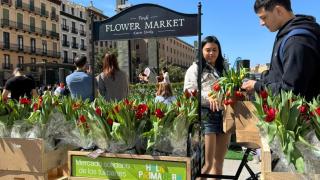Mercado de Tulipanes en Zaragoza.