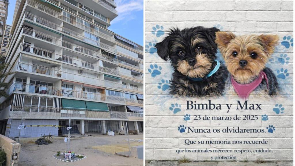 La calle Sol Naciente, donde ocurrieron los hechos, y una imagen de IA con un mural propuesto por la asociacion SOS Ayuda Animal.