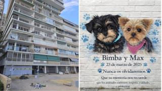 La calle Sol Naciente, donde ocurrieron los hechos, y una imagen de IA con un mural propuesto por la asociación SOS Ayuda Animal.