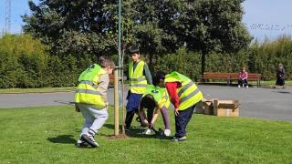 Escolares del colegio Sal Lence plantando nuevos árboles en San Diego por el Día del Árbol.