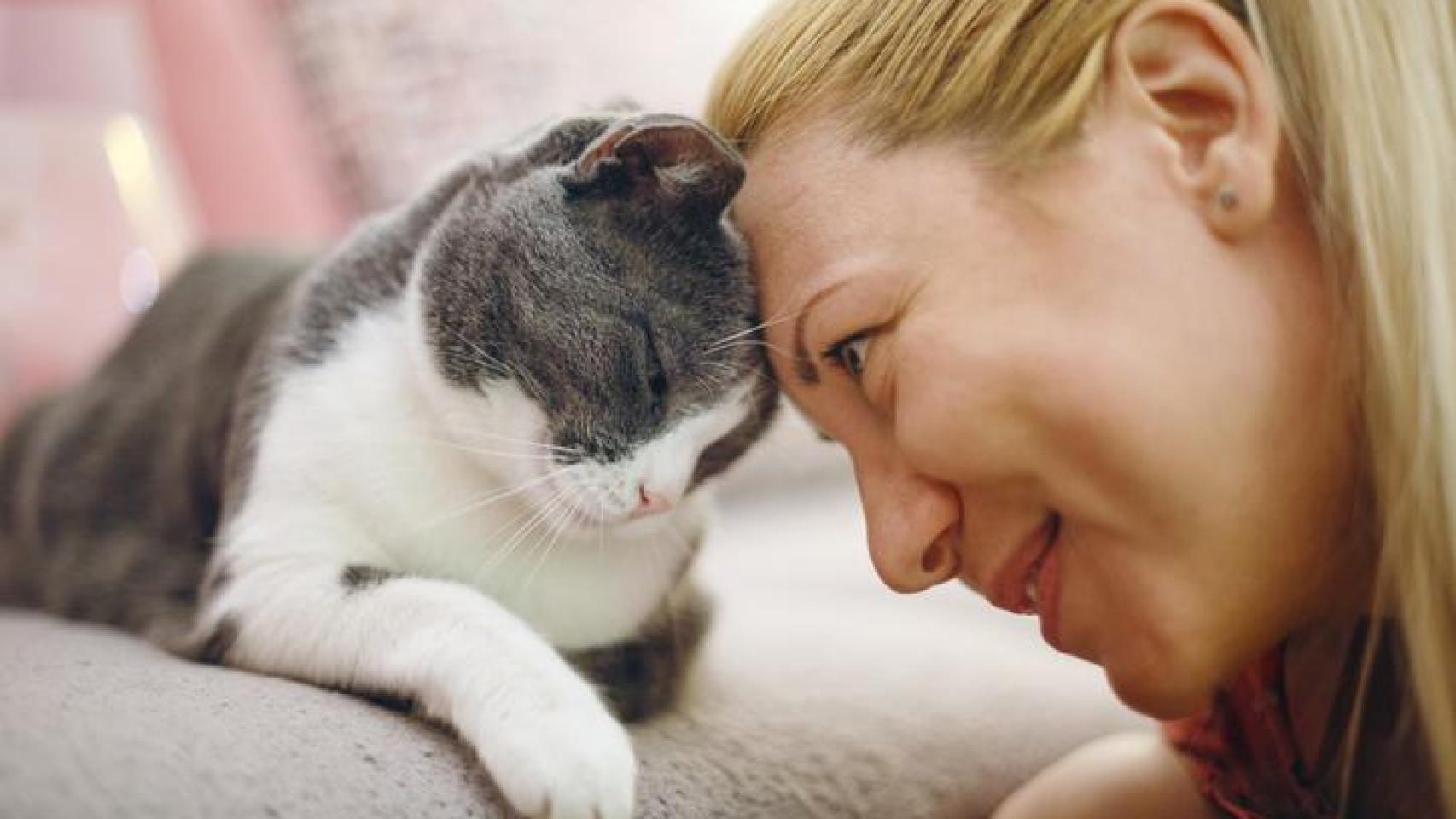 Un gato y una chica.