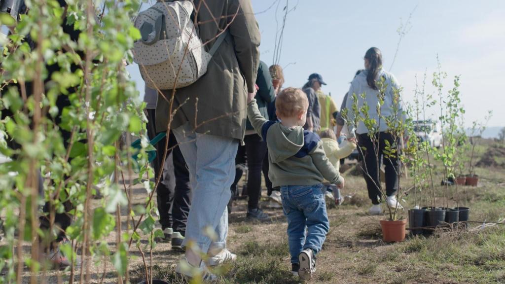 Más de 300 voluntarios participan en una reforestación impulsada por el Festival PortAmérica en Pontevedra