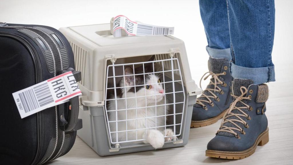 Un dueño de una mascota a punto de embarcar en un avión.