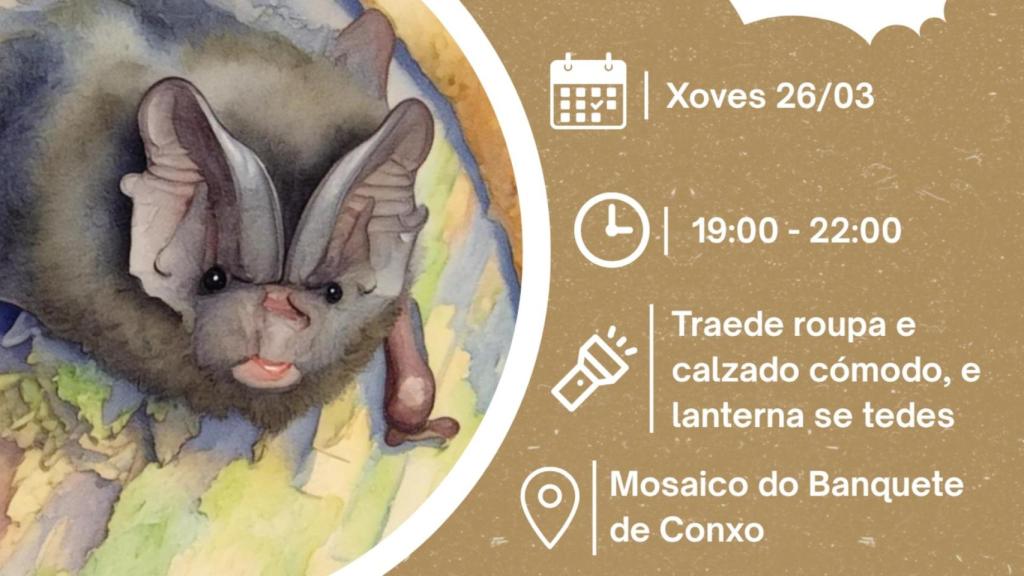 Noite de Morcegos no EcoBosque.