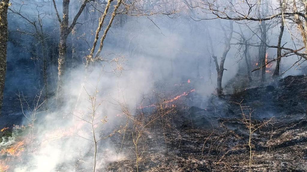 Incendio en el municipio de Igüeña (León) del pasado 22 de marzo