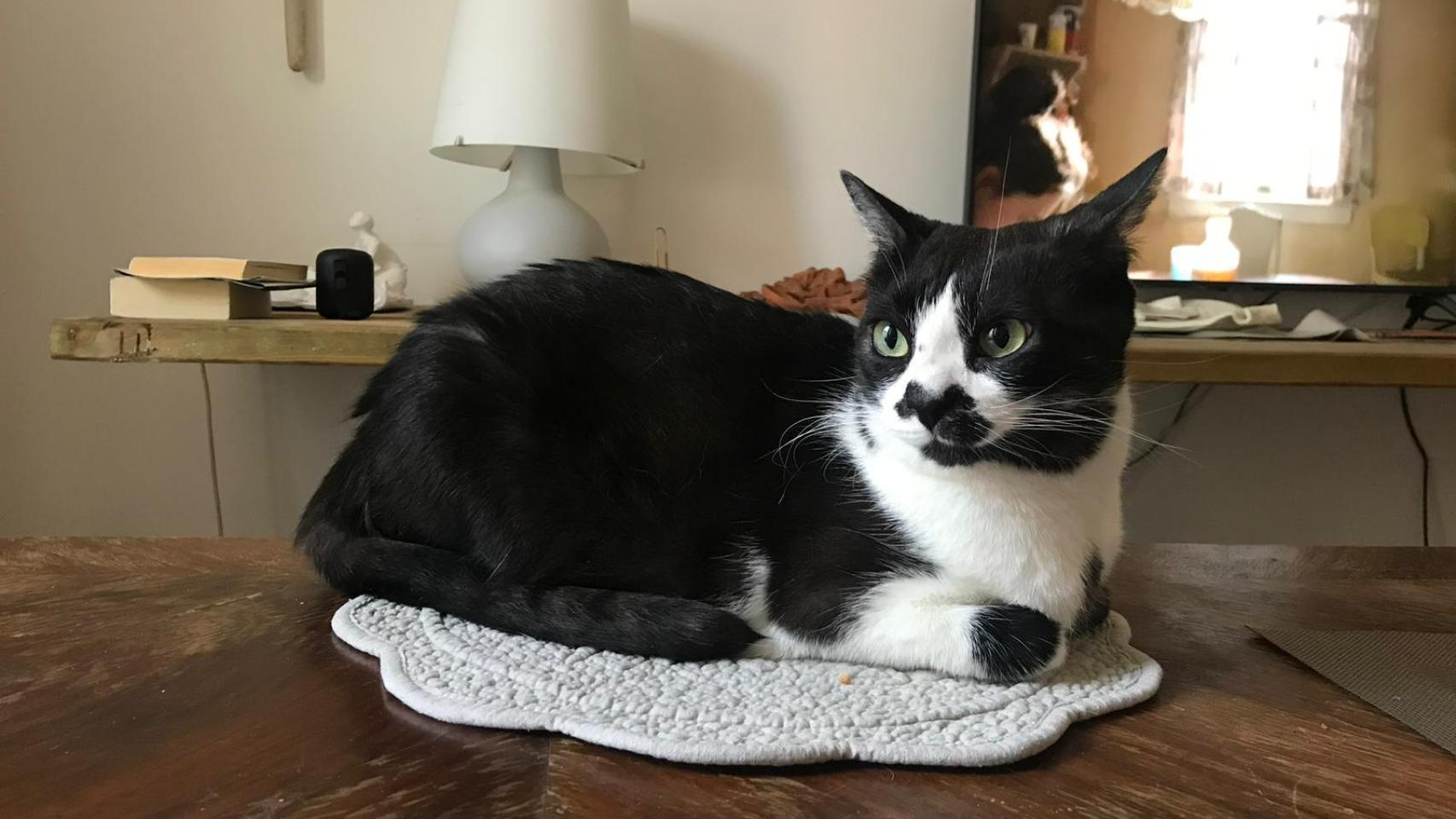 Dusty.
