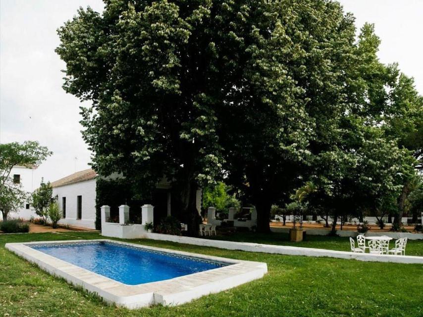 Piscina de El Recreo de San Cayetano.