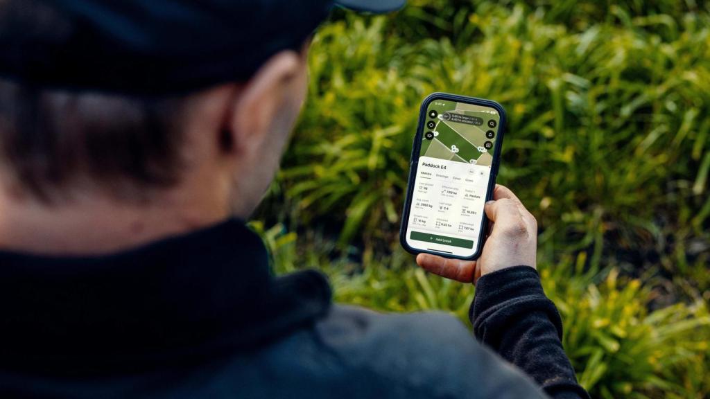 Halter, collares con GPS e inteligencia artificial para el ganado