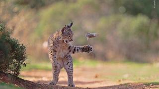 Imagen de la fotografía premiada.