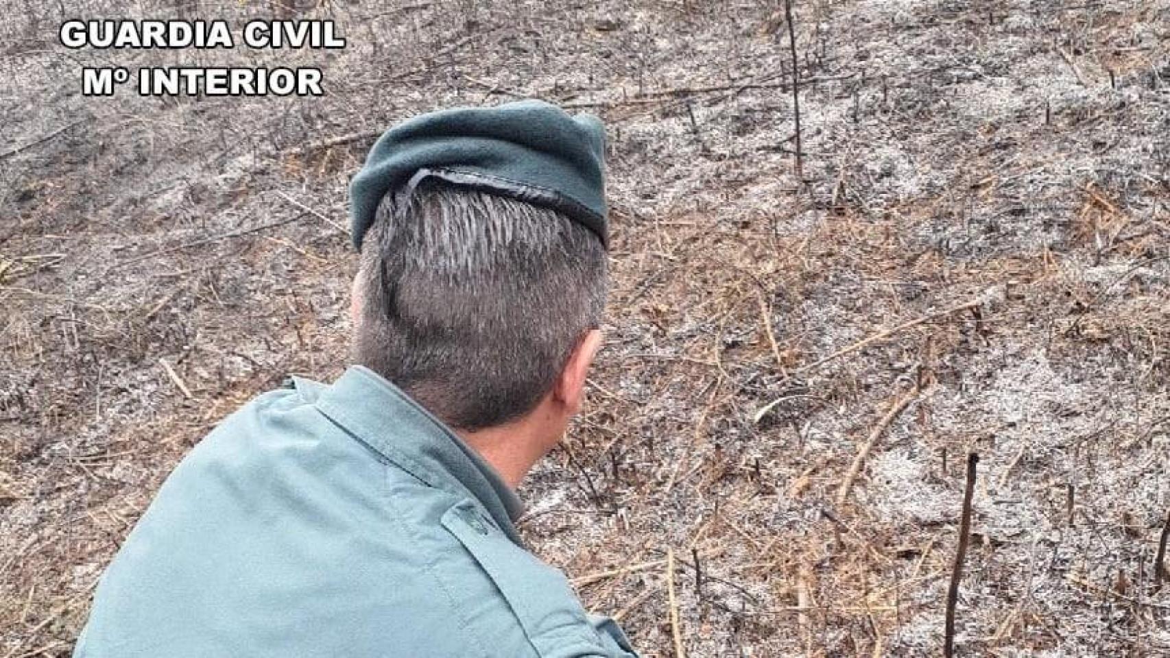 La Guardia Civil en el terreno del incendio forestal de Sobrado dos Monxes.