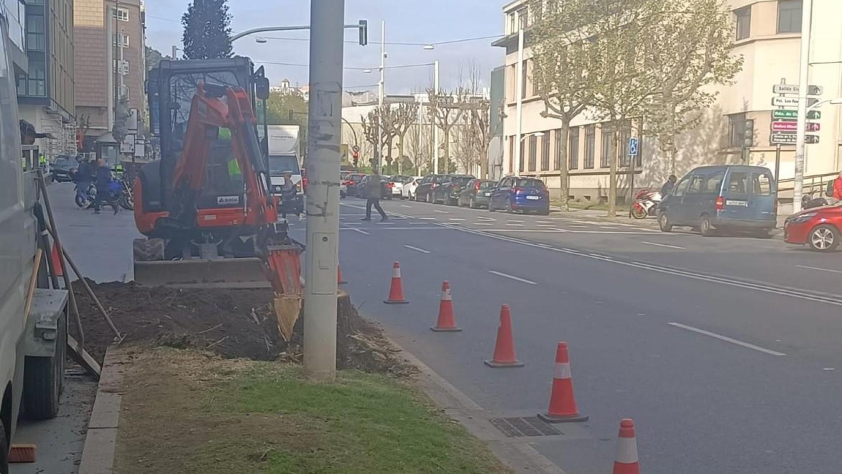 Tala de árboles, este jueves, en la calle Manuel Murguía, junto al estadio de Riazor.