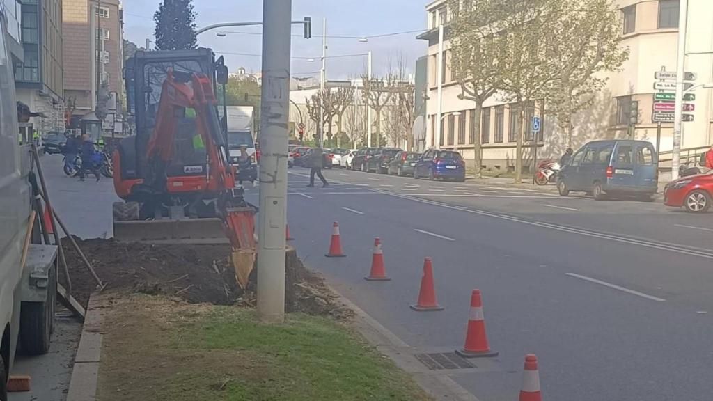 Tala de árboles, este jueves, en la calle Manuel Murguía, junto al estadio de Riazor.