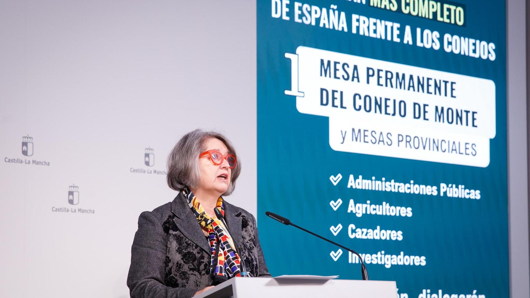 La consejera de Desarrollo Sostenible, Mercedes Gómez, durante la presentación.
