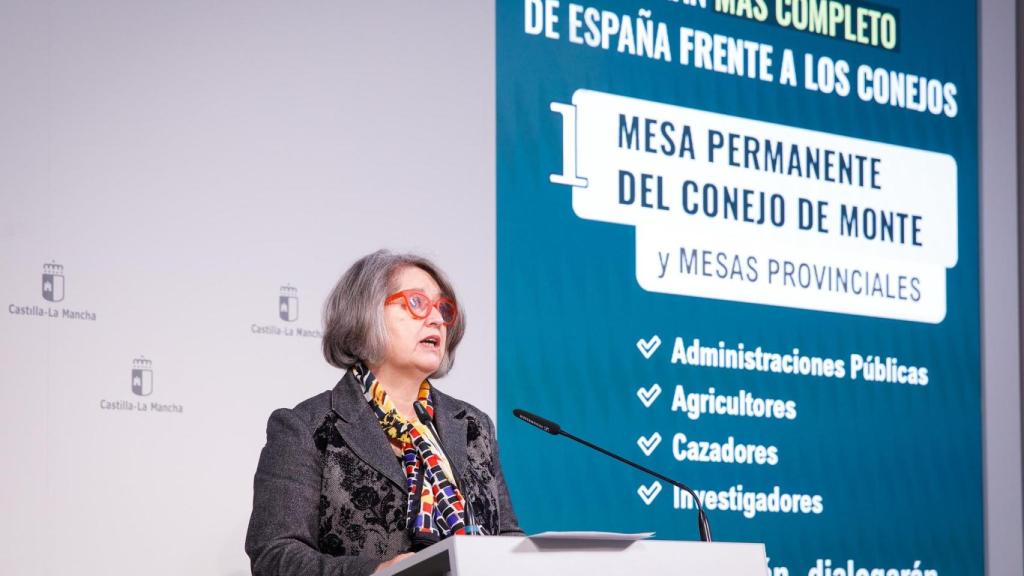 La consejera de Desarrollo Sostenible, Mercedes Gómez, durante la presentación.
