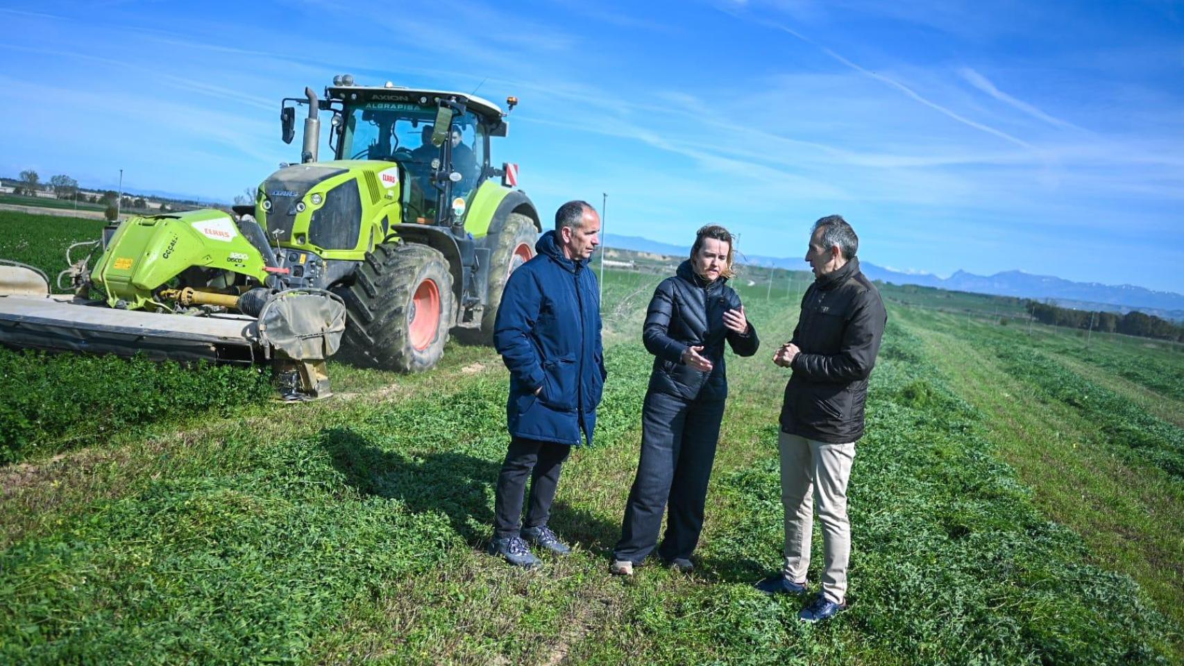 Alegría, en un campo de alfalfa en Almuniente (Huesca)