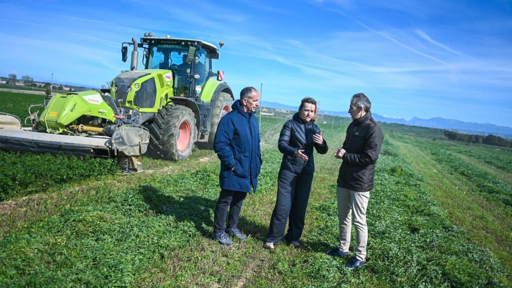 Alegría, en un campo de alfalfa en Almuniente (Huesca)