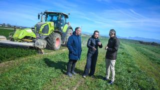 Alegría, en un campo de alfalfa en Almuniente (Huesca)