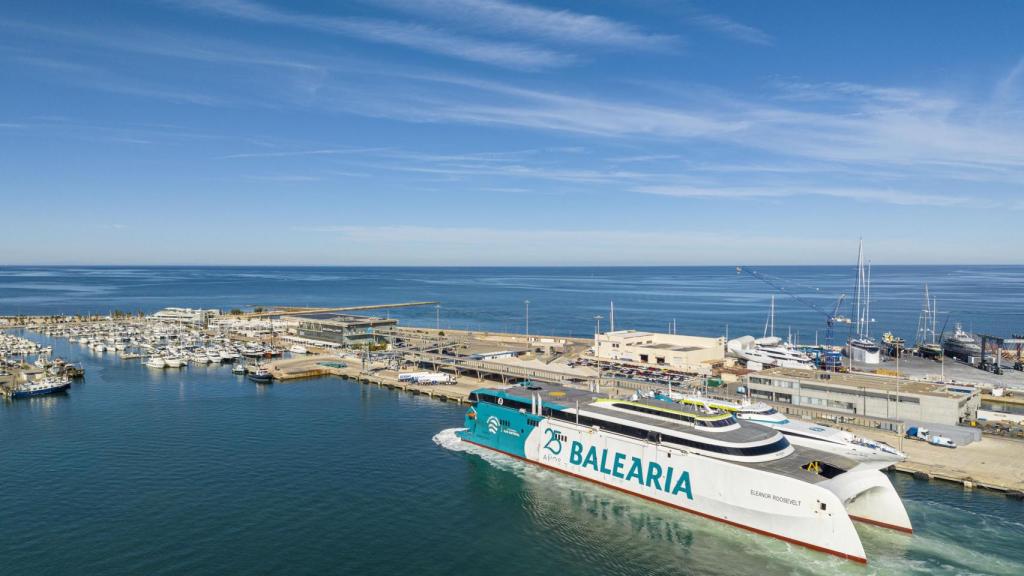 El proyecto de renaturalización del puerto de Dénia impulsado por Baleària está incrementando de forma significativa la biodiversidad, la biomasa marina y la capacidad de fijación de CO2 en sus primeros seis meses de instalación.