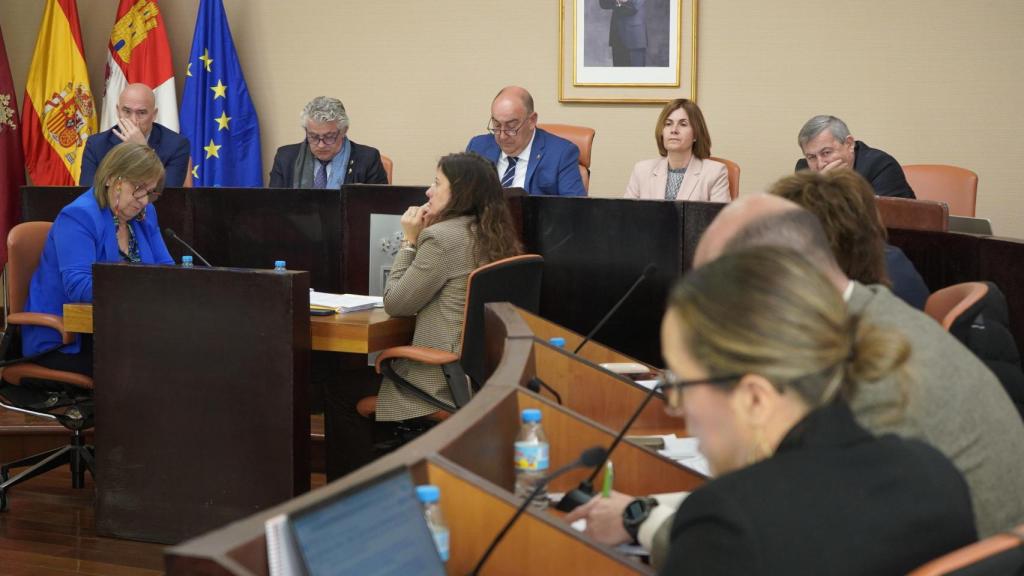 Pleno de marzo de la Diputación de Segovia