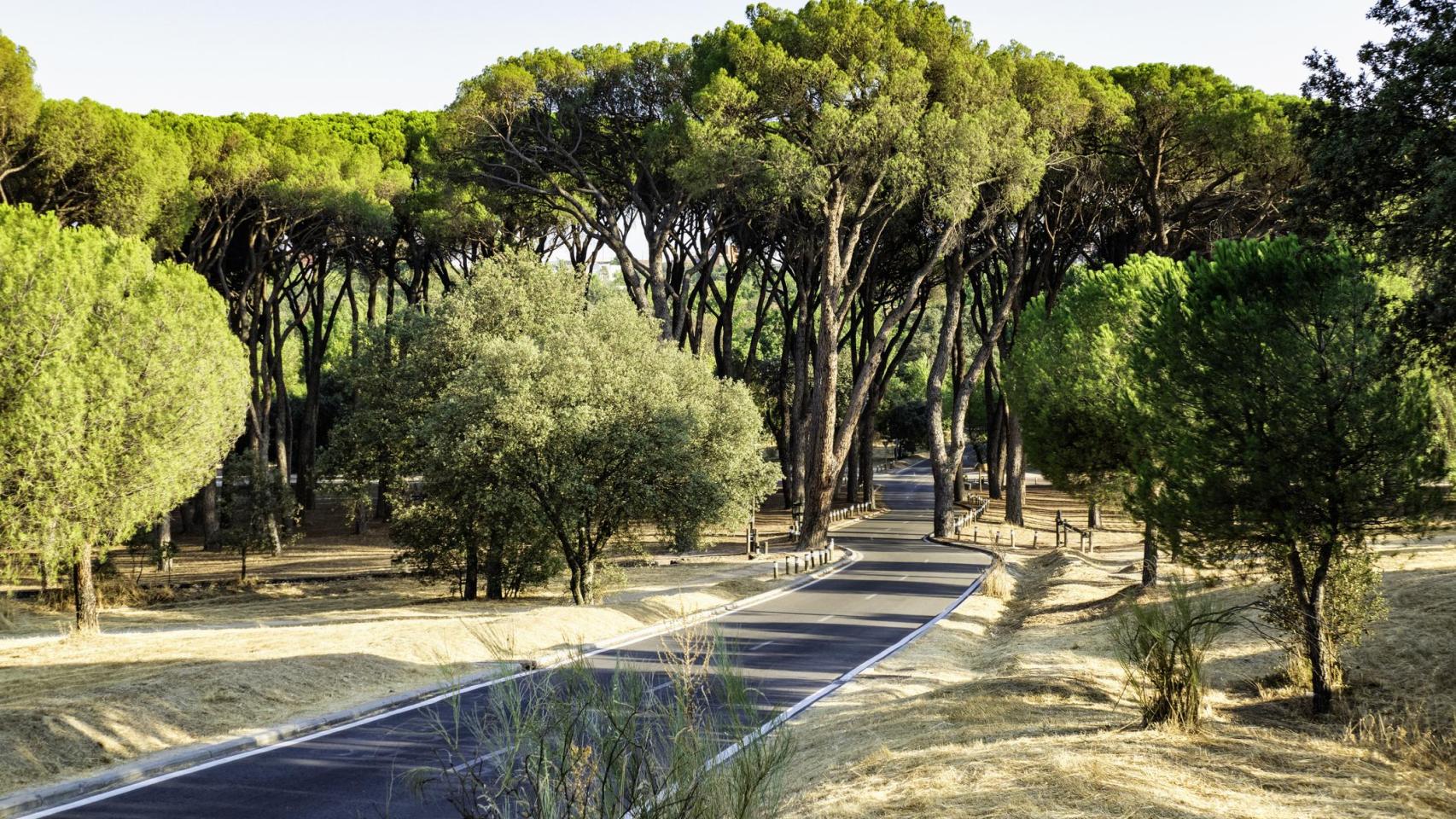 Casa de campo de Madrid.