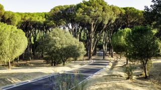 Casa de campo de Madrid.