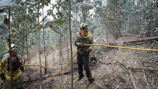 Archivo - Bomberos trabajan en las tareas de extinción del incendio forestal en Cervo, a 5 de noviembre de 2025, en Cervo, Lugo, Galicia (España)