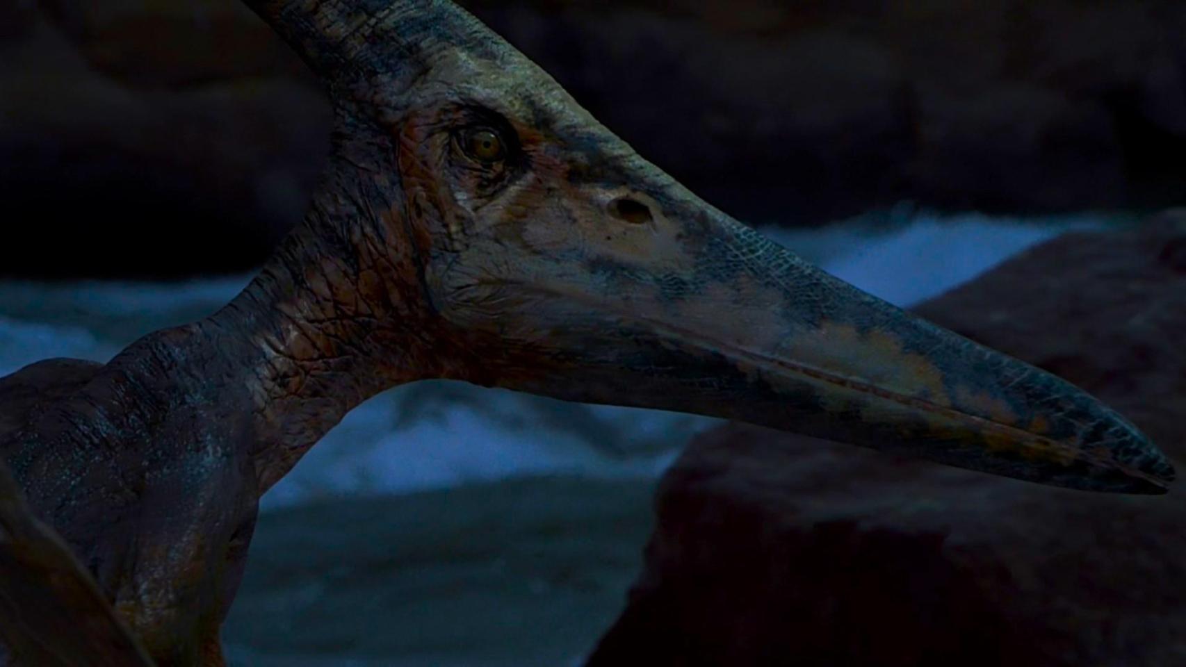 España cambia el Jurásico al encontrar un centenar de fósiles de un importante reptil volador de hace 150 millones de años