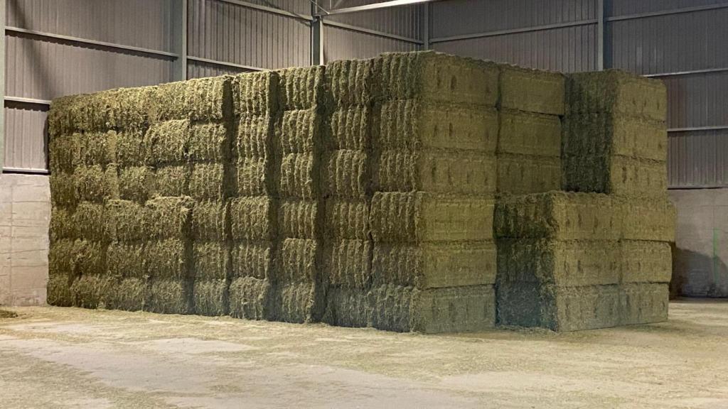 Almacén de alfalfa