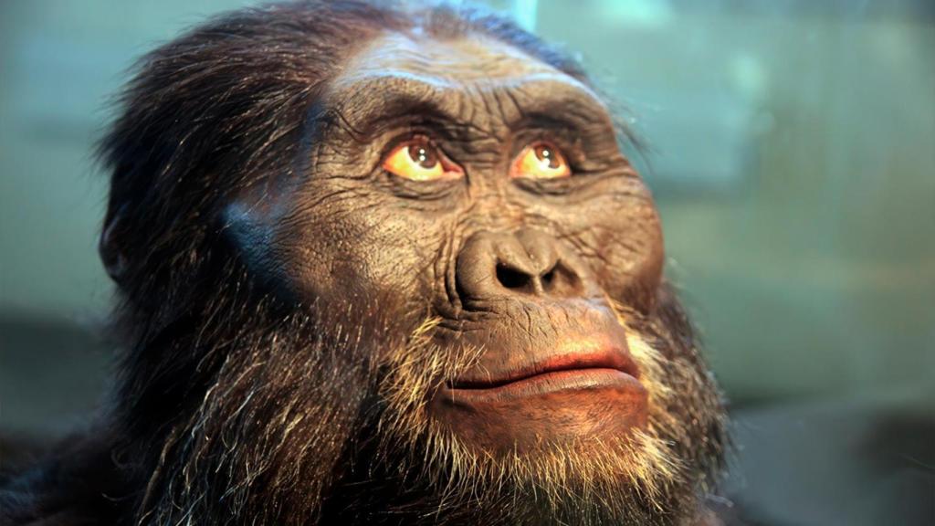 Bulgaria da con un misterioso simio de hace 7,2 millones de años cuyo caminar desafía los orígenes del ser humano