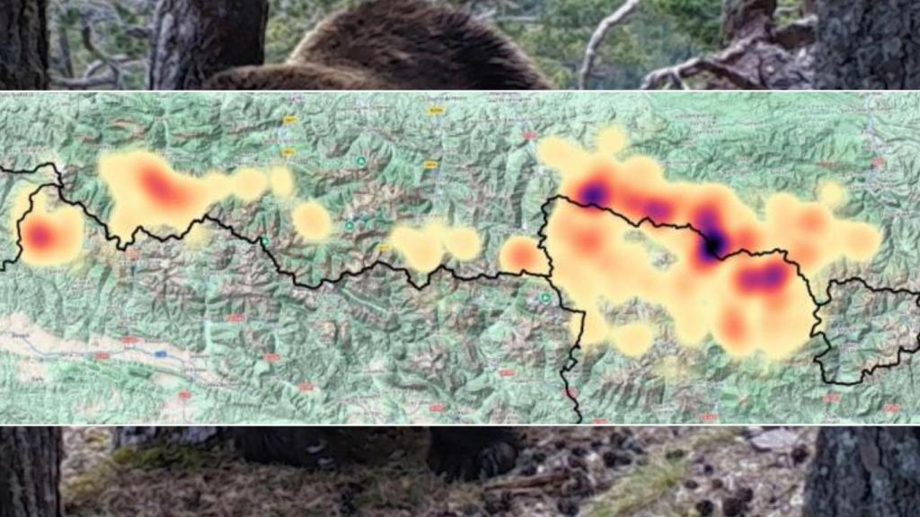 Mapa poblacional de osos