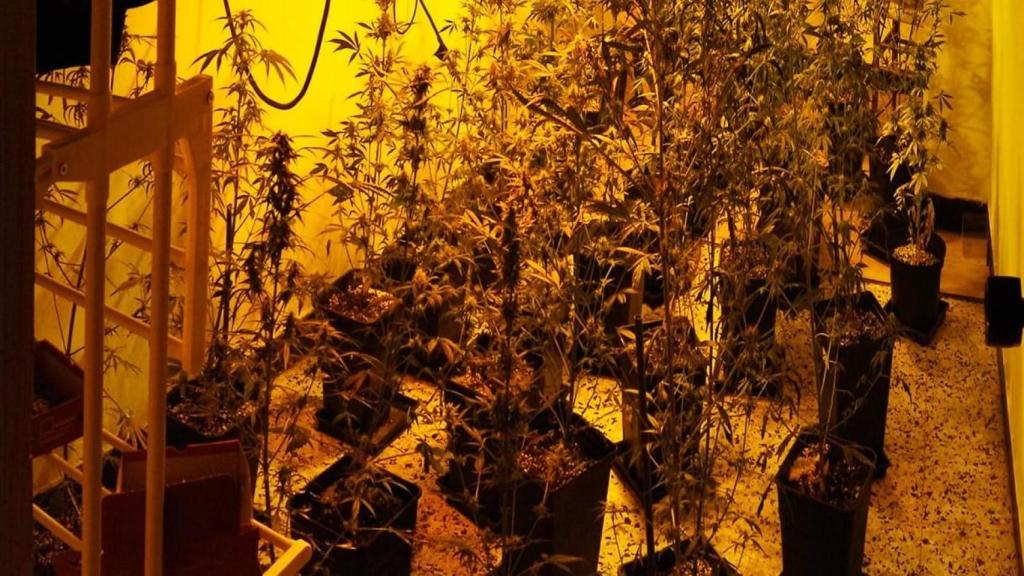 Desarticulan un punto de venta de droga en Carballo (A Coruña) con una persona detenida