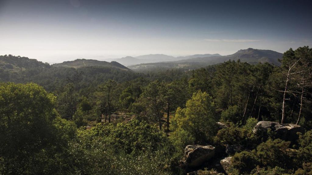 Monte Aloia