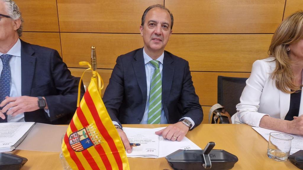 José Luis Bancalero, consejero de Sanidad en funciones, en el Consejo Interritorial de Salud