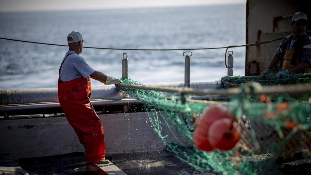 Fundación Ecoalf ha impulsado el proyecto Upcycling the Oceans.