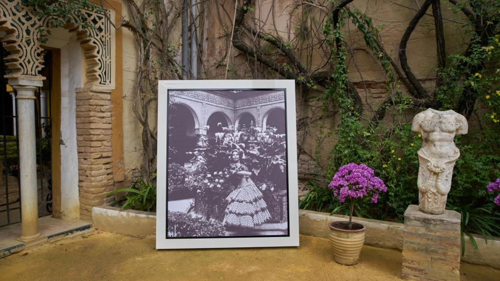 Homenaje a Cayetana en el Palacio de Las Dueñas.