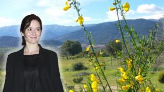 Isabel Díaz-Ayuso mantiene un vínculo con Sotillo de la Adrada, en Ávila, donde nació su padre.