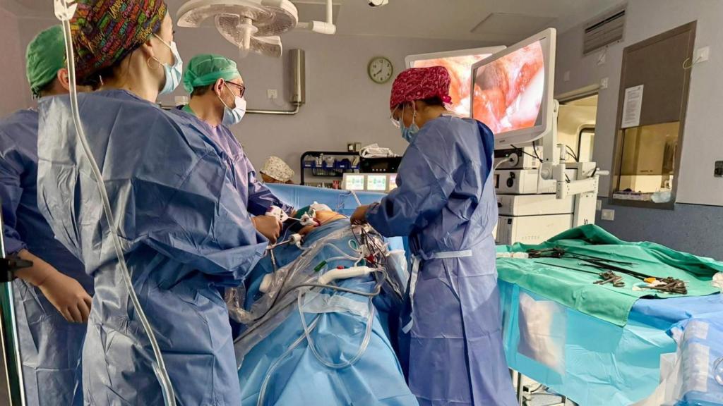 Donación altruista en el Peset. GVA