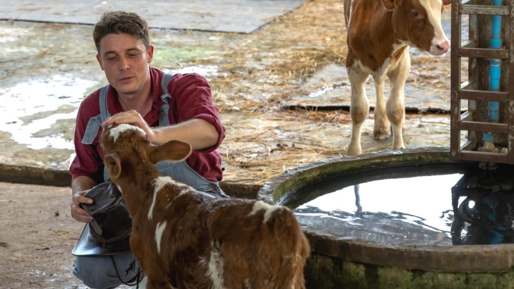 Formación Superior en Ganadería y asistencia en sanidad animal