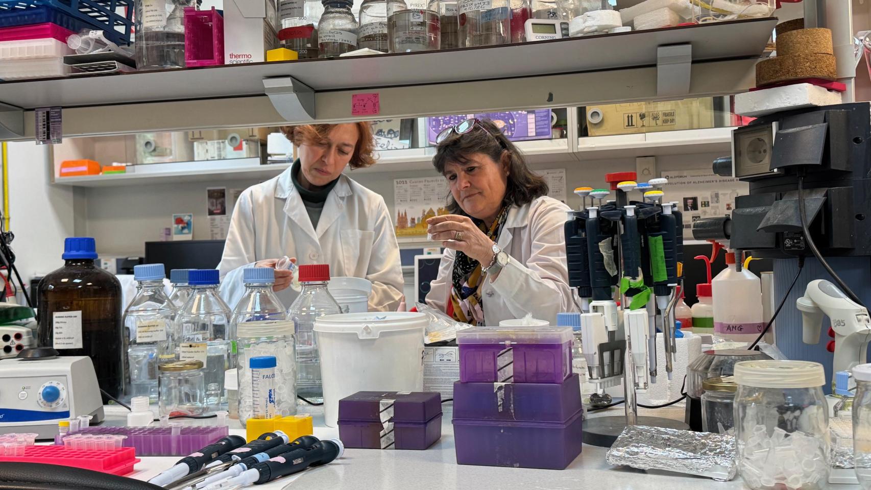 Ana Martínez (derecha) y Carmen Gil, en su laboratorio del Centro de Investigaciones Biológicas Margarita Salas.