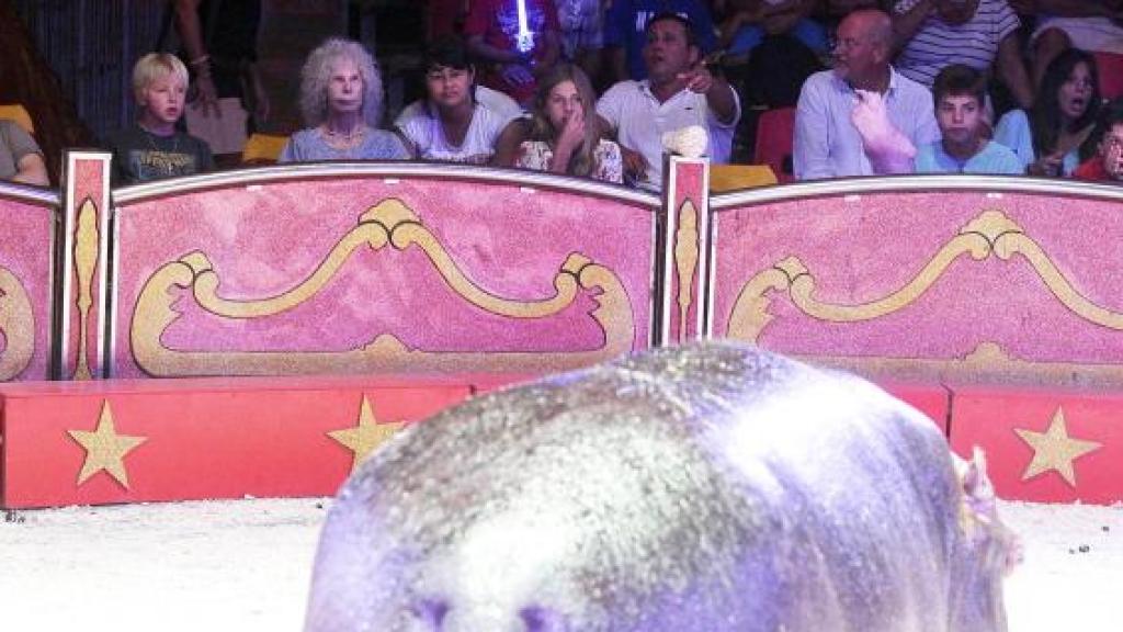La duquesa de Alba con sus nietos Luis y Amina en el circo.